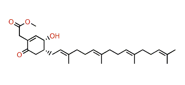 Eunicenone A